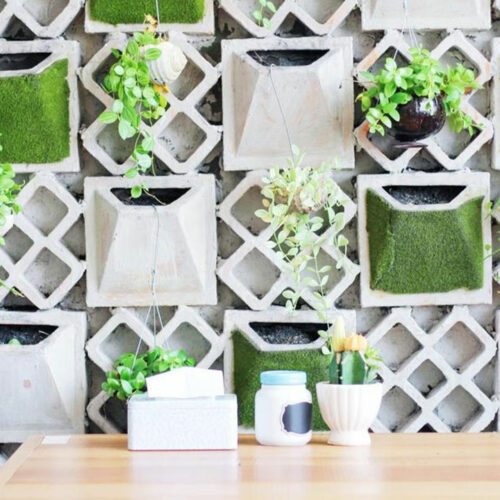 Here’s how you can brighten up your ordinary interiors using plants
