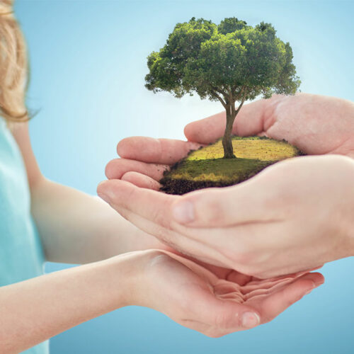 6 simple and effective ways to prevent climate change