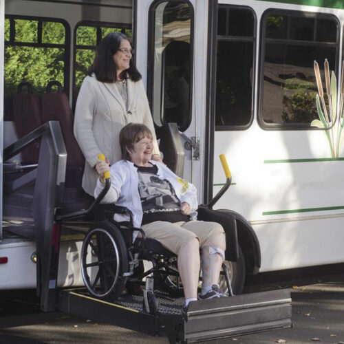 Here’s what you should know before buying wheelchair vans